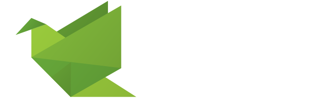 Anderson's Bay School, Dunedin